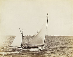 HMCo #409s Gannet