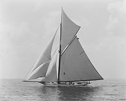 HMCo #411s Gloriana