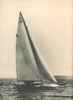 HMCo #1053s Puffin